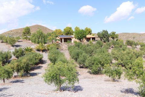 Landejendom i Puerto Lumbreras, Murcia - foto 5